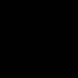 Meet your Posher, Deaushaina